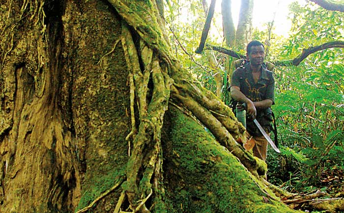 Foto da Justiça Ambiental