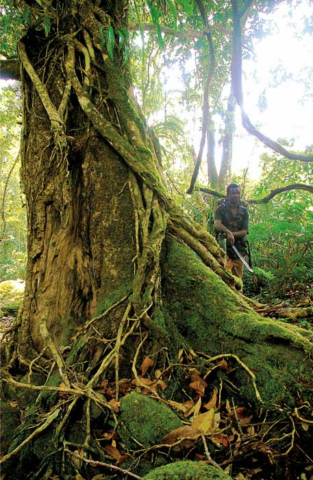 Foto da Justiça Ambiental