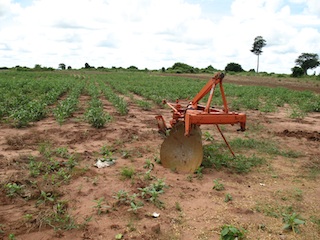 Foto de Adérito Caldeira