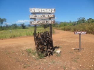 Foto de Júlio Paulino