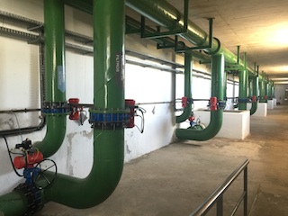 Foto de Nuno Teixeira