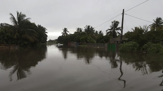 Foto de Cidadão Repórter