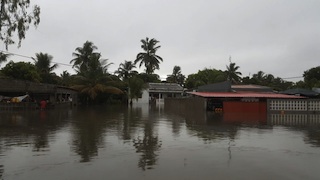 Foto de Cidadão Repórter
