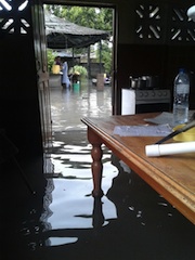 Foto de Cidadão Repórter