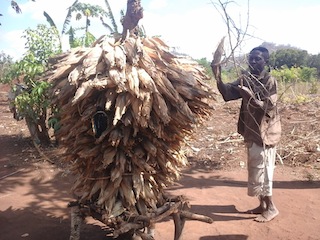 Foto de Cristóvão Bolacha