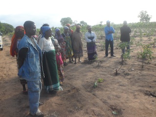 Foto de Júlio Paulino