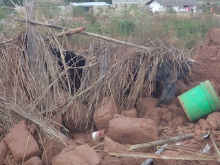 Foto de Júlio Paulino