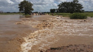 Foto cedida pelo Instituto de Estudos Sociais e Económicos