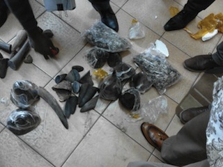 Foto de Cidadão Repórter