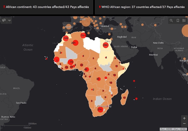 Organização Mundial da Saúde