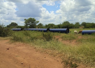 Foto de Adérito Caldeira