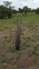 Foto cedida pelo INGC