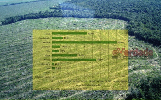 Análise do Desmatamento em Moçambique 2003 -2016 - MITADER