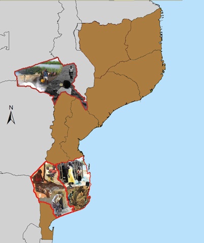 Grafismo de Nuno Teixeira