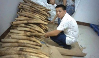 Agência de Investigação Ambiental