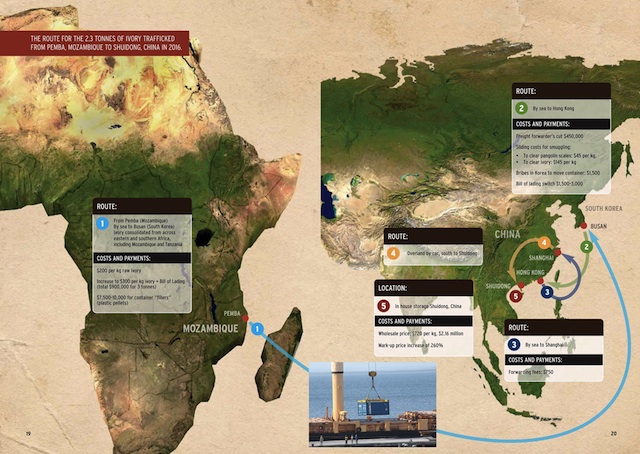 Agência de Investigação Ambiental