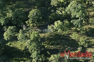 Foto cedida pela ANAC