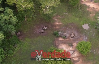 Foto cdida pela ANAC