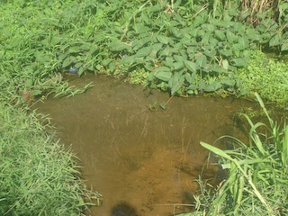 Foto de Júlio Paulino