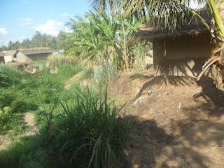 Foto de Júlio Paulino