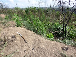 Foto de Aurélio Sambo, Tom Bowker