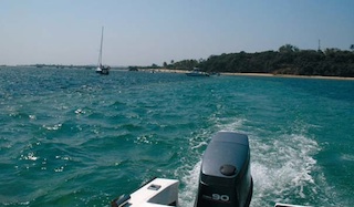 Foto de Nuno Teixeira