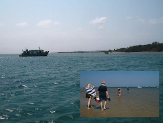 Foto de Nuno Teixeira