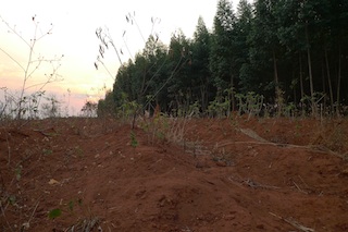 Foto da Justiça Ambiental