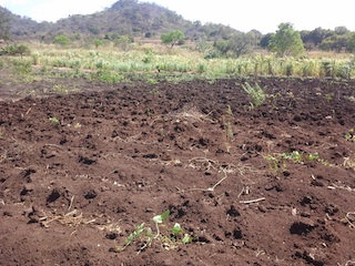 Foto de Cristóvão Bolacha