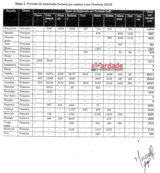 Parecer 5ª Comissão da Assembleia da República sobre PES e OE 2019