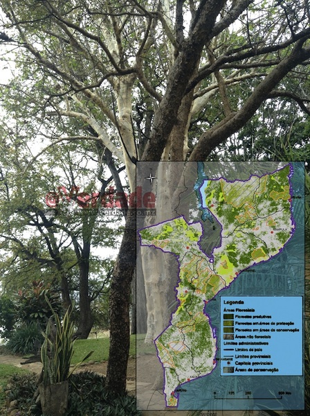 Foto de Adérito Caldeira