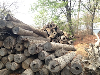 Foto de Adérito Caldeira