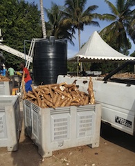 Foto de Momade Ibraimo