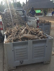 Foto de Momade Ibraimo