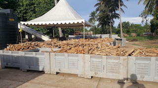 Foto de Momade Ibraimo