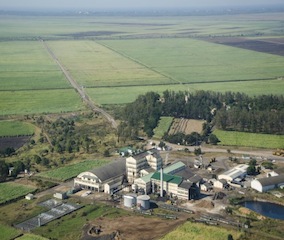 Foto da Maragra Açúcar