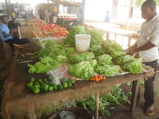 Foto de Júlio Paulino