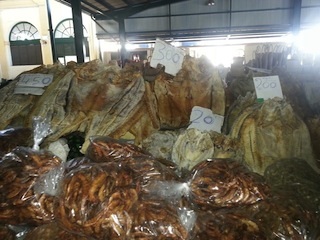 Foto de Cidadão Repórter