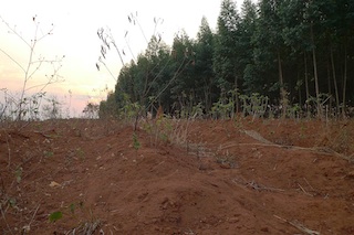 Foto da Justiça Ambiental