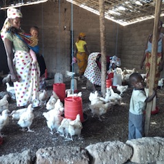 Foto de Adérito Caldeira