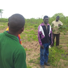 Foto de Adérito Caldeira