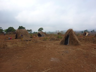Foto de Aurélio Sambo, Tom Bowker