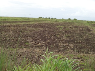 Foto de Domingos Cerveja