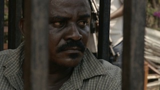 Foto da Terra Mater Factual Studios