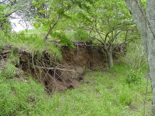 Foto cedida pelo Instituto Nacional de Minas