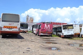 Foto de Maria Celeste Mac'arthur